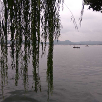 张磊涛's avatar