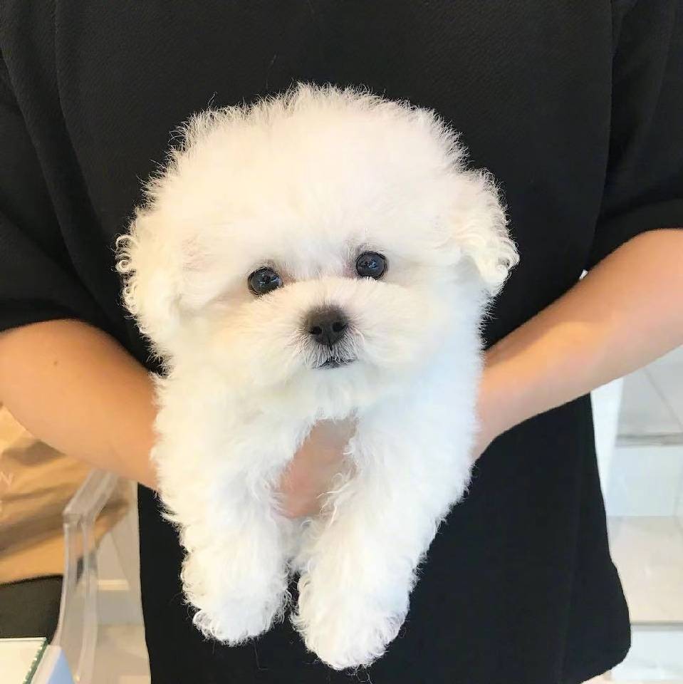 邵郎's avatar
